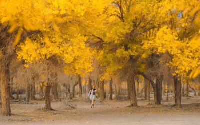 14-Day Southern Xinjiang Panorama Grand Loop / 14天南疆全线全景大环游