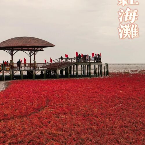 红海滩风景区2