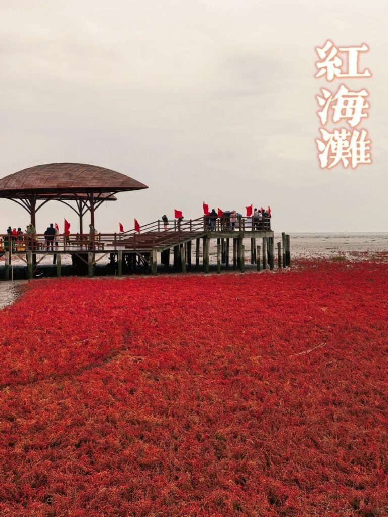 红海滩风景区2