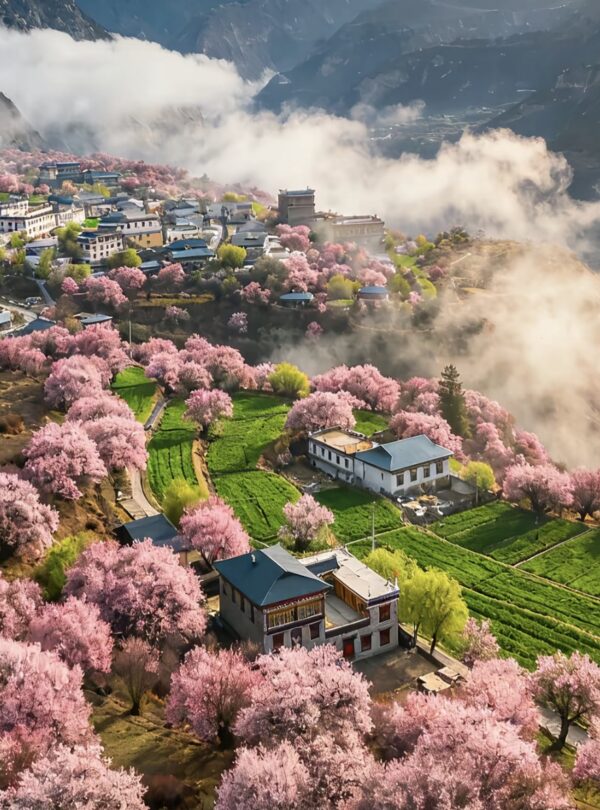 Nyingchi Gala peach blossom village 林芝嘎拉桃花村 · China Express Travel Tibet tour