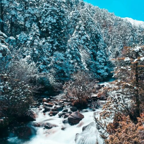 林海雪原 · 8 Days Chengdu · Wawushan · Gonggashan· Hailuogou · Niubeishan / 8天成都 · 瓦屋山·贡嘎山·海螺沟·牛背山