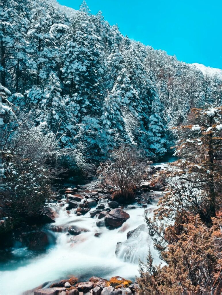 林海雪原 · 8 Days Chengdu · Wawushan · Gonggashan· Hailuogou · Niubeishan / 8天成都 · 瓦屋山·贡嘎山·海螺沟·牛背山