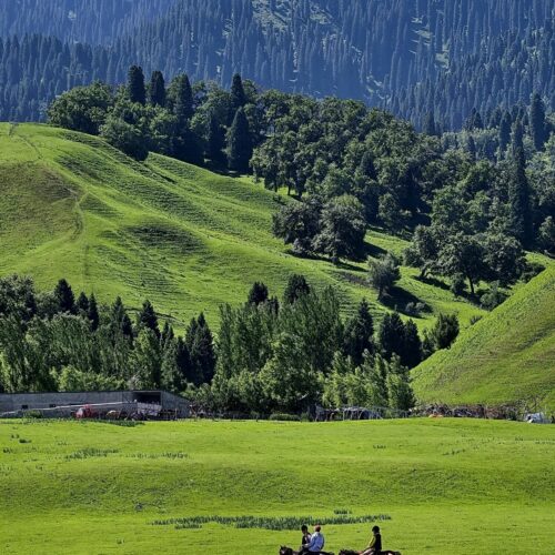 那拉提草原 · 16 Days Northern Xinjiang · Natural Scenery Journey / 16天 北疆 · 自然风光之旅