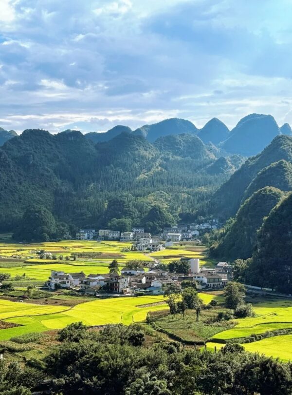 Wanfenglin karst peaks 万峰林 · China Express Travel Guizhou tour