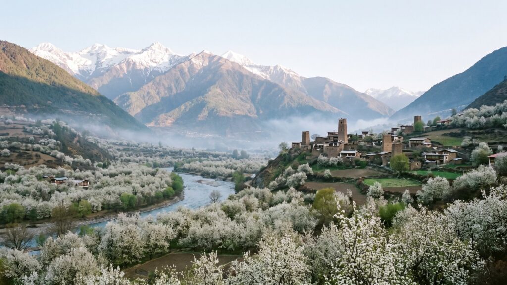 West Sichuan pear blossom 川西金川梨花 · China Express Travel West Sichuan tour