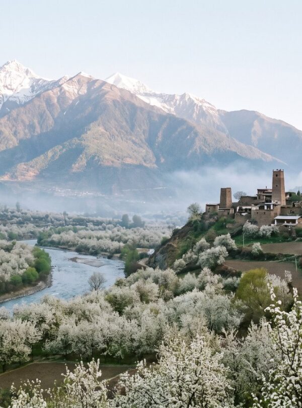 West Sichuan pear blossom 川西金川梨花 · China Express Travel West Sichuan tour