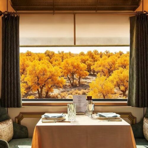 Silk Road Express 丝路梦享号 · China Express Travel Silk Road golden autumn rail journey