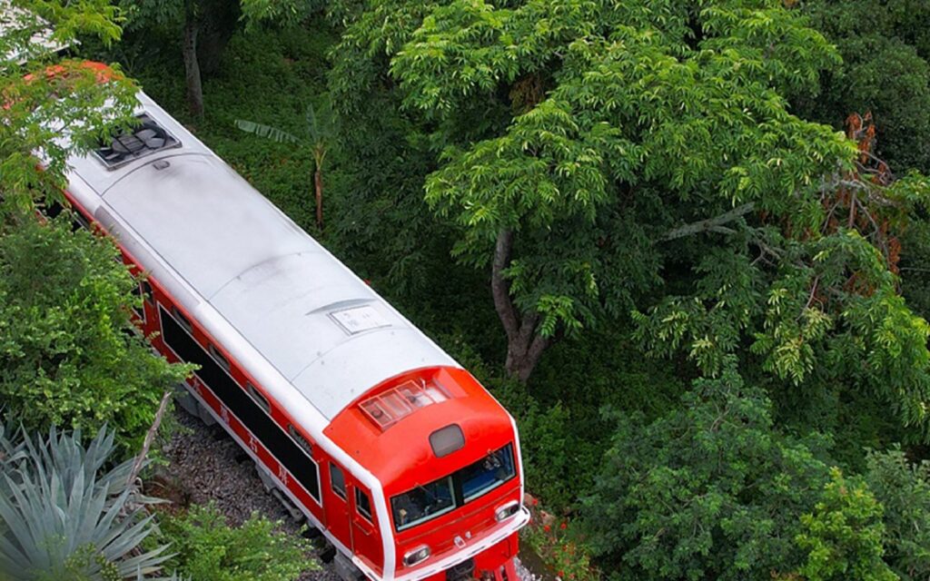 The Yilong narrow-gauge train winding through the rainforest of southern Yunnan
