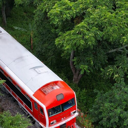 The Yilong narrow-gauge train winding through the rainforest of southern Yunnan