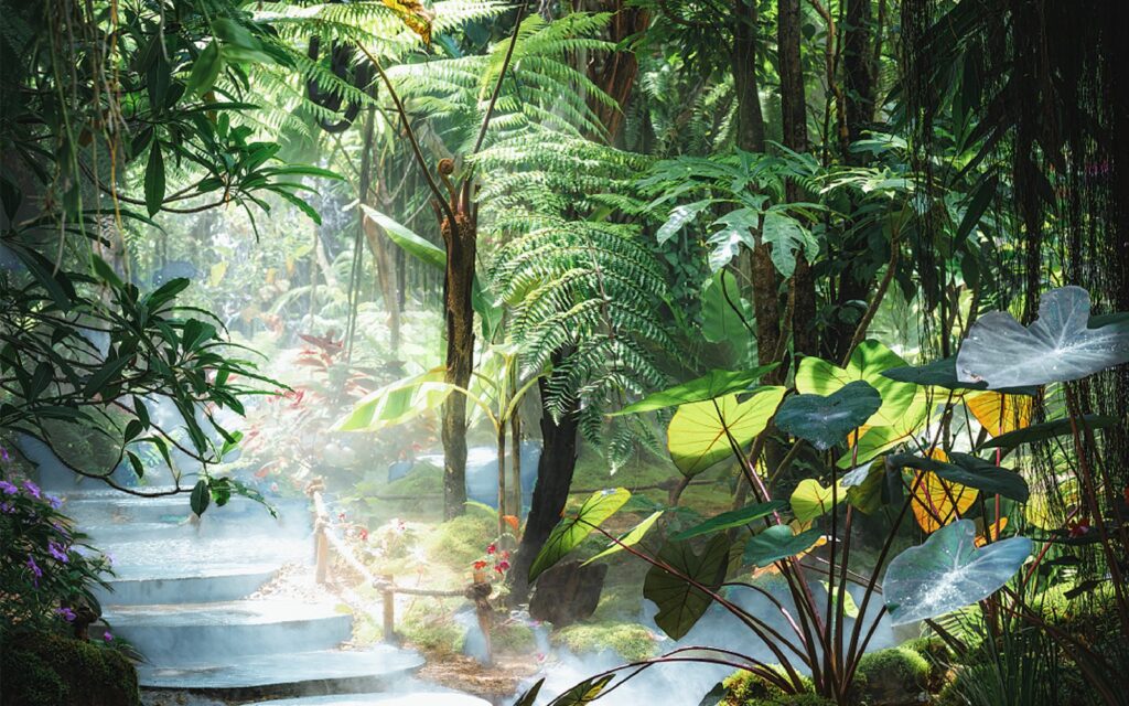 A stream and stepping stones through the rainforest of Xishuangbanna, southern Yunnan