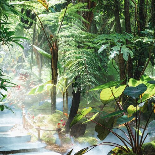 A stream and stepping stones through the rainforest of Xishuangbanna, southern Yunnan