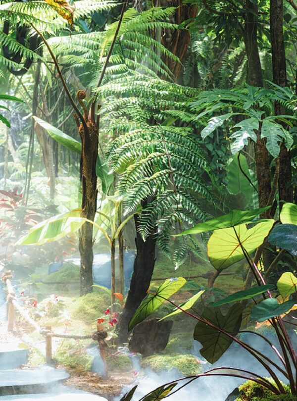 A stream and stepping stones through the rainforest of Xishuangbanna, southern Yunnan