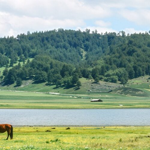 Meadow and lake in Potatso National Park 普达措国家公园 · China Express Travel Baiyun Express