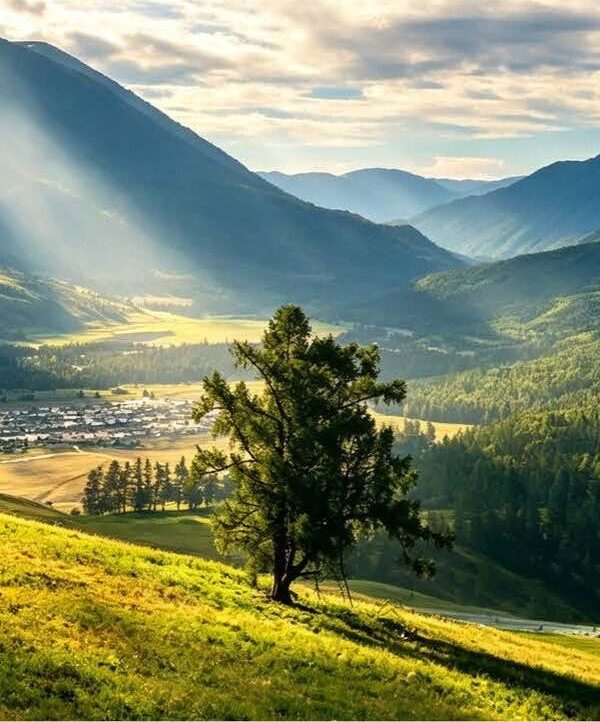 Hemu valley at sunrise 禾木河谷 · China Express Travel Golden Panda Express