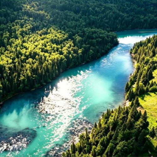 Kanas River through the forest 喀纳斯河 · China Express Travel Golden Panda Express