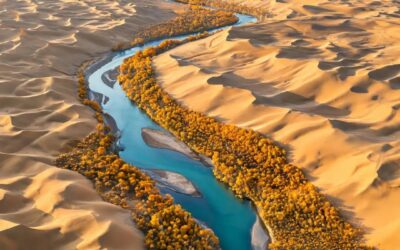 14-Day Southern Xinjiang Panorama Grand Loop / 14天南疆全线全景大环游