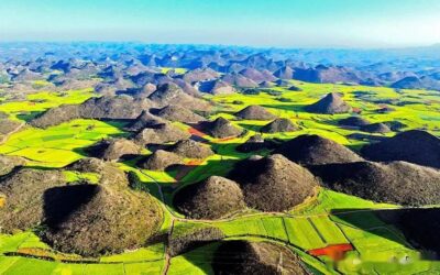 12-Day Yunnan Flower Trail Journey / 12天云南花海之旅