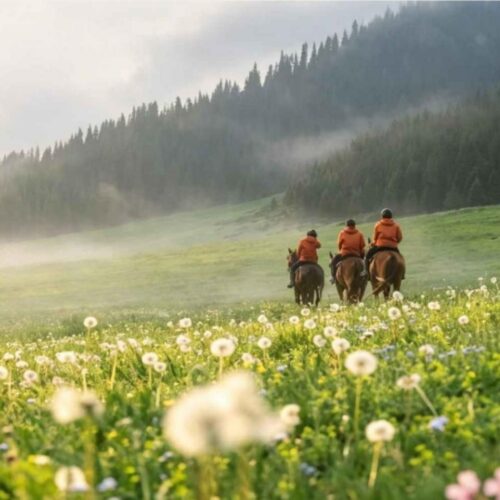 Riders on a Tianshan flower meadow 天山花海牧歌 · China Express Travel Xinjiang