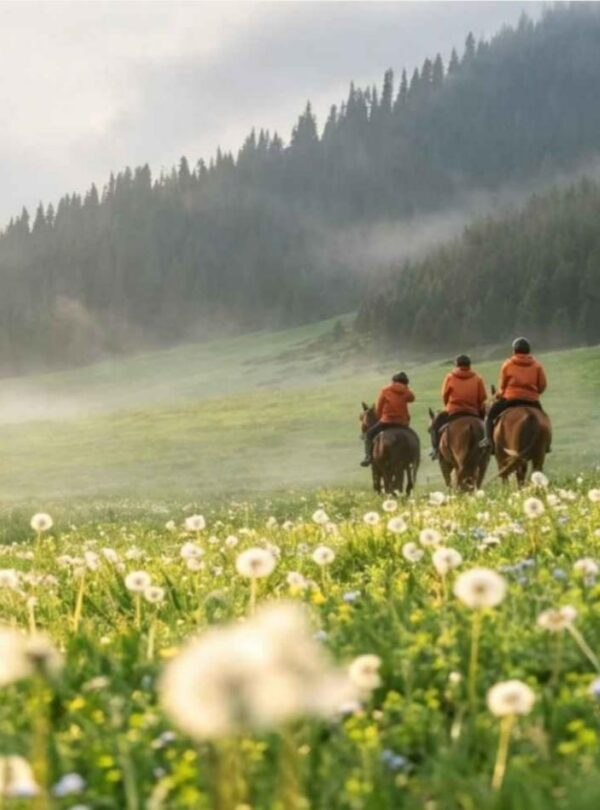 Riders on a Tianshan flower meadow 天山花海牧歌 · China Express Travel Xinjiang