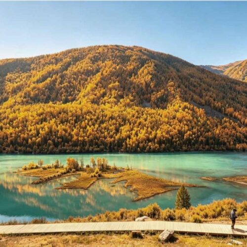 Kanas in autumn gold 金秋喀纳斯 · China Express Travel Tianfu Express